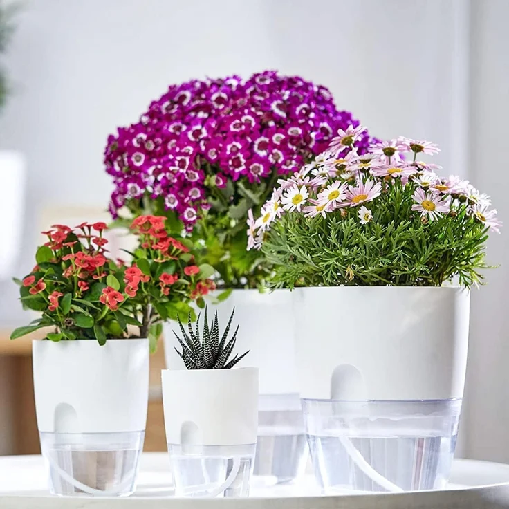 iDattel Selbstbewässernder Blumentopf Kräutertopf Set für die Küche 6er – Bild 7