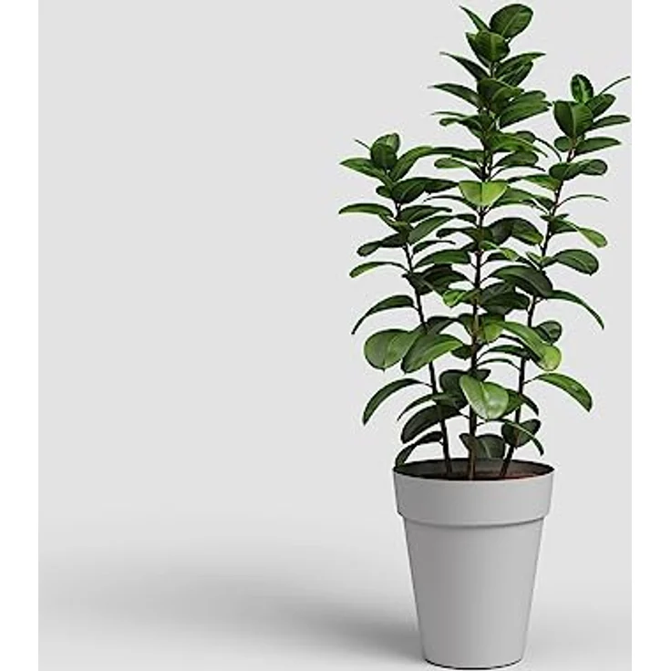 Artevasi Capri-Topf High, Hoher runder Kunststofftopf, 56cm, Farbe: Hellgrau – Bild 3