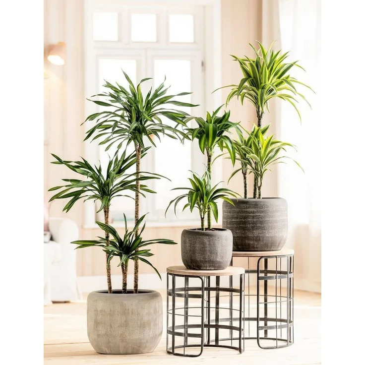 Dehner Übertopf Romy, Ø 24 - 29 cm, Höhe 20 - 26 cm, rund, Keramik, Übertopf mit reliefartiger Oberfläche, für Zimmerpflanzen – Bild 2