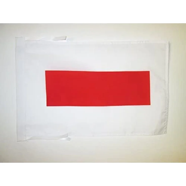 AZ FLAG - Flagge Emirat Schardscha - 45x30 cm Mit Kordel - Shariqah Fahne 30 x 45 Cm - Flaggen