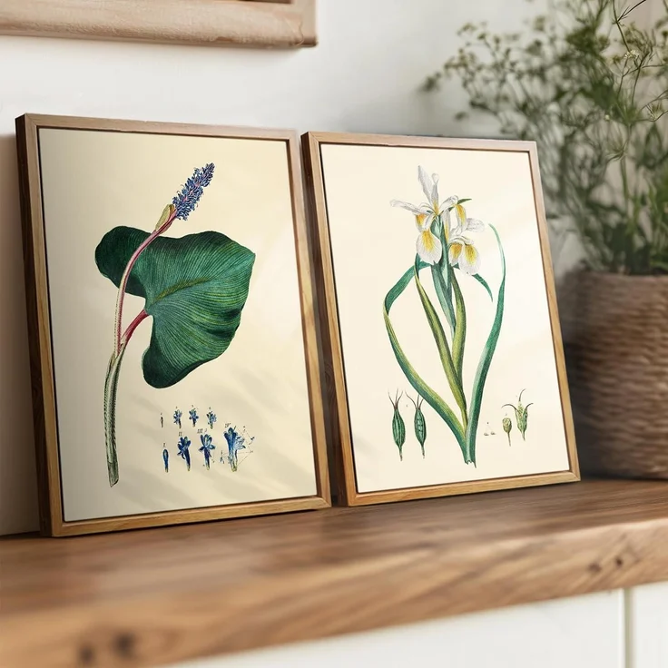 Vintage Botanische Leinwandbilder mit Holzrahmen 20x25 cm Wandbilder Wohnzimmer – Bild 6