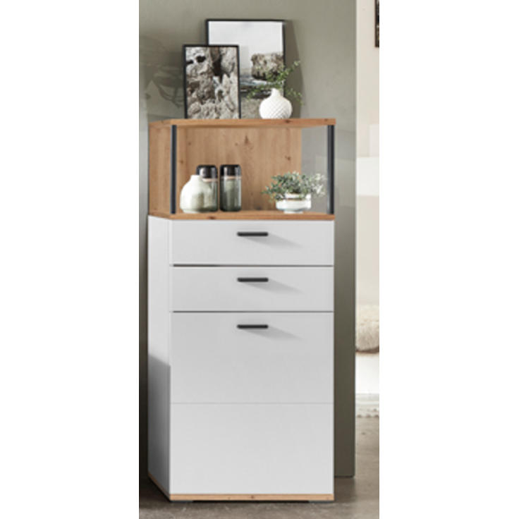 Ideal Basset Vitrine Type 01