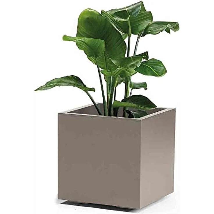 Pflanzkübel GREENER KEBE 40 cm taupe mit Rollen Wasserreservoir doppelwandig schlagfest UV-beständig nachhaltig