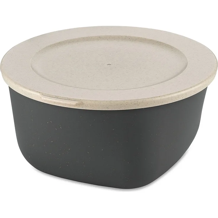 Koziol Dose Connect Box mit Deckel, Schüssel, Schale, Kunststoff-Holz-Mix, Nature Ash Grey, 2 L, 7871701
