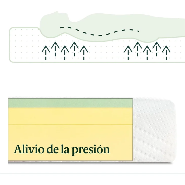 Zinus Essential Memory-Schaum-Matratze mit grünem Tee, anpassbar, 7 Zonen, 150x190 cm, Höhe 20 cm, günstig, Öko-Tex – Bild 4