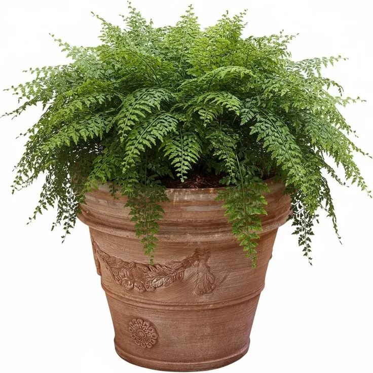 Pflanzgefäß Terrakotta Modell "Doppio Bordo Festonato" 45cm