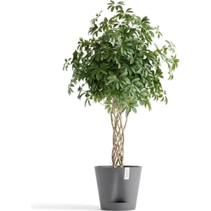 ECOPOTS Blumentopf Venice 2 40 Grau, für den Innenbereich – Bild 4