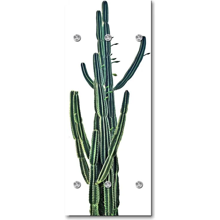 Queence Garderobe - "Holy Cactus" Druck auf hochwertigem Arcylglas inkl. Edelstahlhaken und Aufhängung, Format: 50x120cm