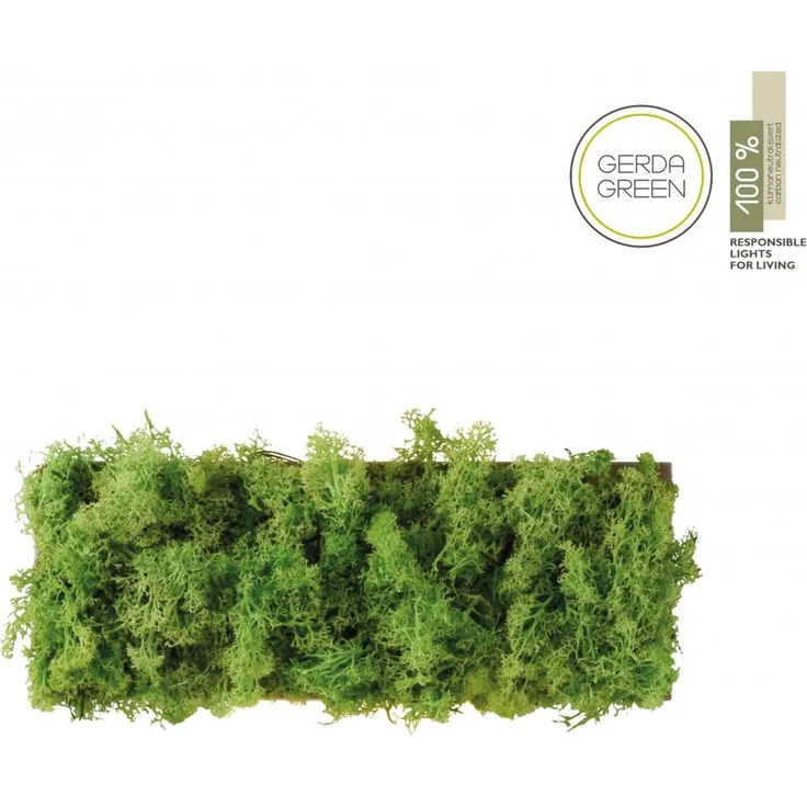 JUST LIGHT 15637-66 GREEN CARLO LED Wandleuchte moos eckig