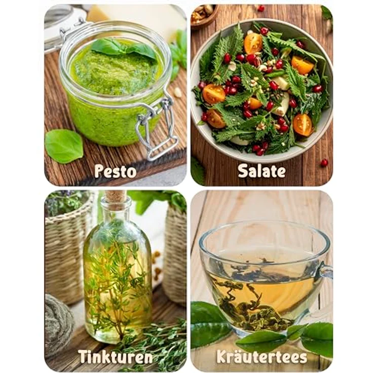 ZenGreens® - Bio Wildkräutersamen im 15er Set - 15 Wildkräuter Samen für den einfachen Anbau im Garten, Balkon oder Hochbeet - Pflanzensamen - Saatgut – Bild 12