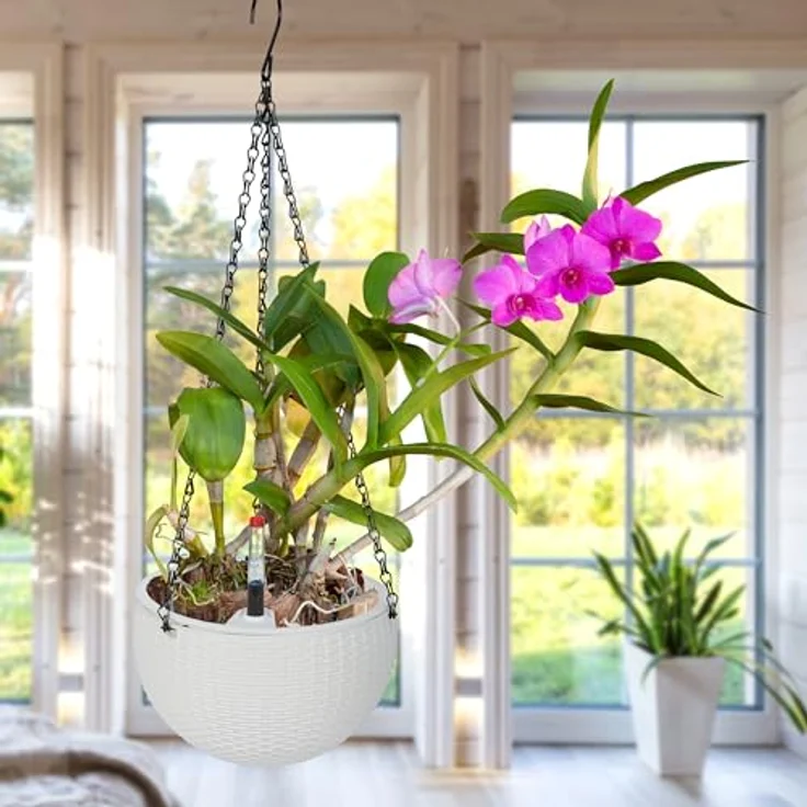 Blumenampel mit Wasserspeicher 2er Set 10045237 – Bild 3