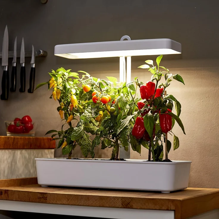 Northpoint Pflanzenlampe LED Pflanzenleuchte Gewächslampe 22W 1350 Lumen 10 Setzlinge – Bild 5