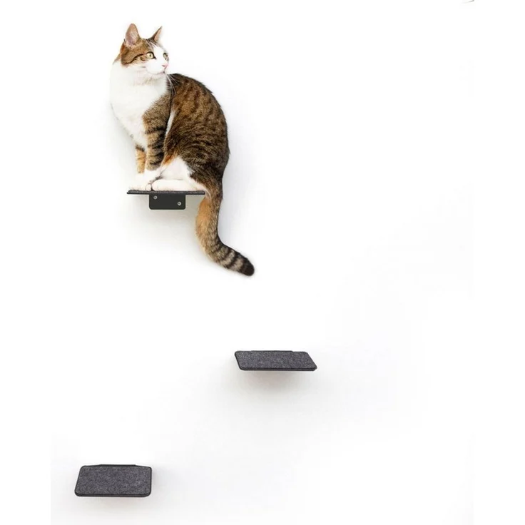 LucyBalu Katzen-Kletterwand Katzentreppe, Katzen Kletterwand, Katzenleiter, Katzenstufen, 3er Set, Pulverbeschichtetes Stahlblech mit Filzauflagen – Bild 5