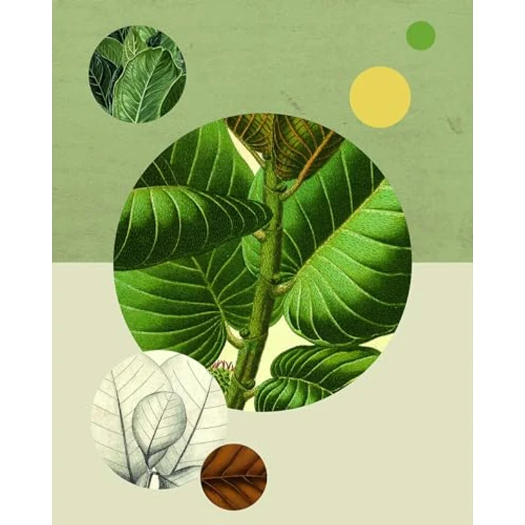 Komar Wandbild Green Structure, Naturgetreues Poster 40 x 50 cm, lichtbeständige Farben, fotorealistischer Kunstdruck ohne Rahmen – Bild 1