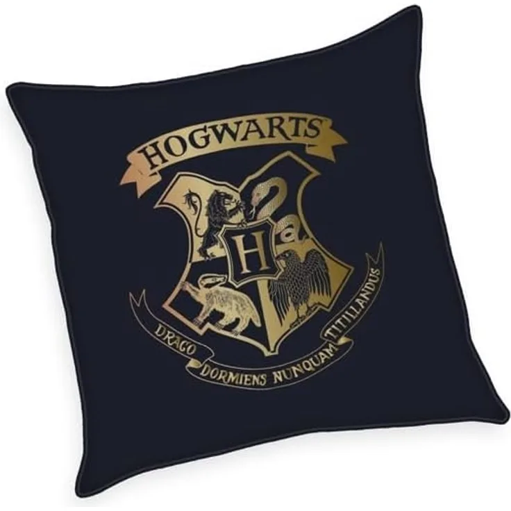 Harry Potter Soft Velboa Kissen, 40x40 cm, 100% Polyester