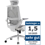 SIHOO M59AS Ergonomischer Bürostuhl mit Doppelsitzlehnen-Design und adaptiver Lendenwirbelstütze, Mesh-Schreibtischstuhl für das Homeoffice (Weiß)
