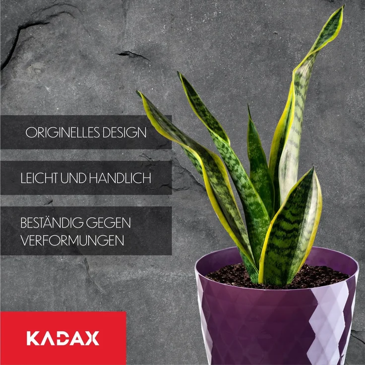 KADAX Kunststoff-Blumentopf mit Ständer, Blumentopf-Abdeckung, Blumen, 16 cm, Lila – Bild 6