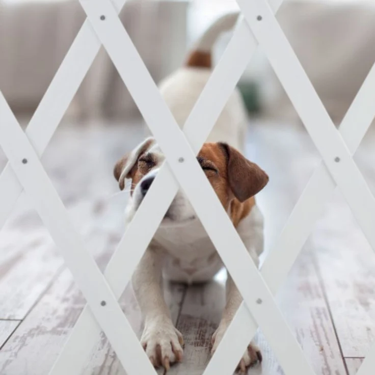 Relaxdays Hundeabsperrgitter ausziehbar bis 140 cm, 87-99 hoch, Bambus, Hunde Schutzgitter für Treppe & Tür, Weiß – Bild 5