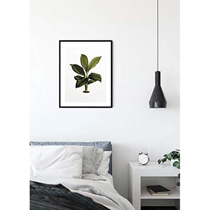 Komar Elastica Leaf, Wandbild aus Premium-Poster Fotopapier, 50 x 70 cm, fotorealistischer Kunstdruck ohne Rahmen, ideal für Wohnzimmer und Schlafzimmer, MADE IN GERMANY – Bild 3