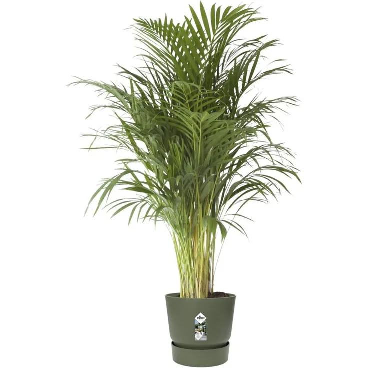 Elho Pflanztopf Greenville Ø 47 x 44 cm laubgrün