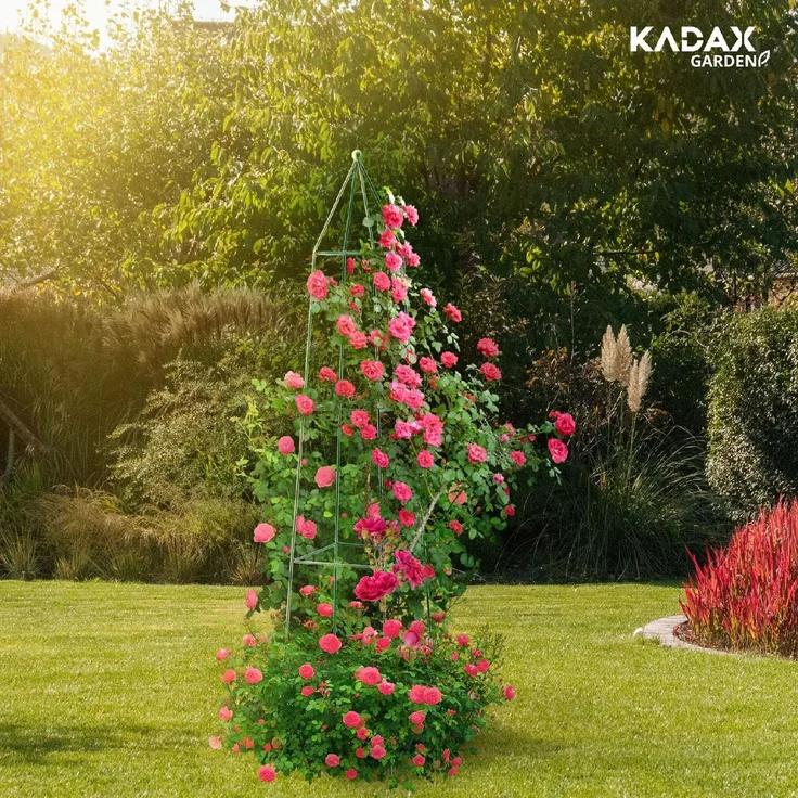 KADAX Pyramiden-Gartenpergola für Kletterrosen 150 cm – Bild 5