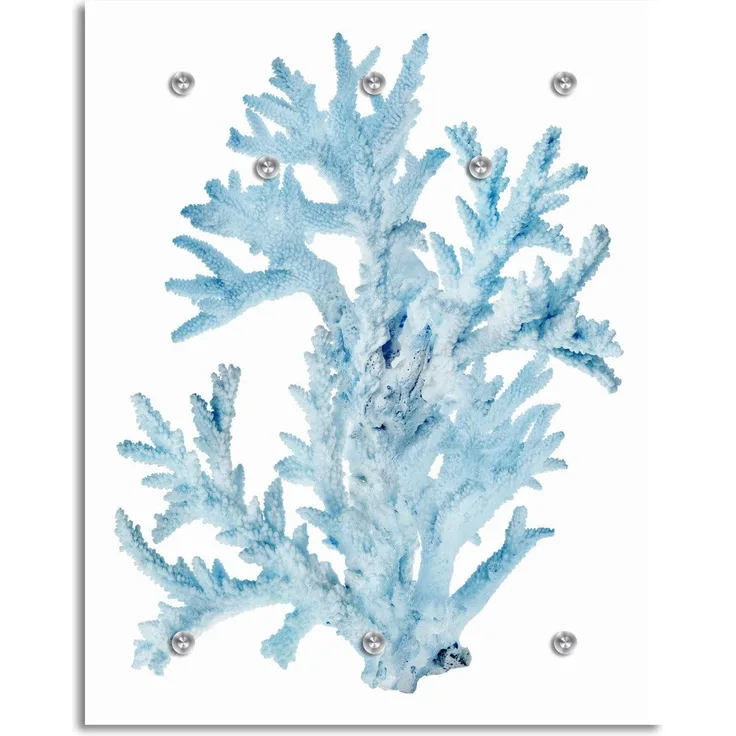 Queence Garderobe - "Arniko" Druck auf hochwertigem Arcylglas inkl. Edelstahlhaken und Aufhängung, Format: 100x120cm