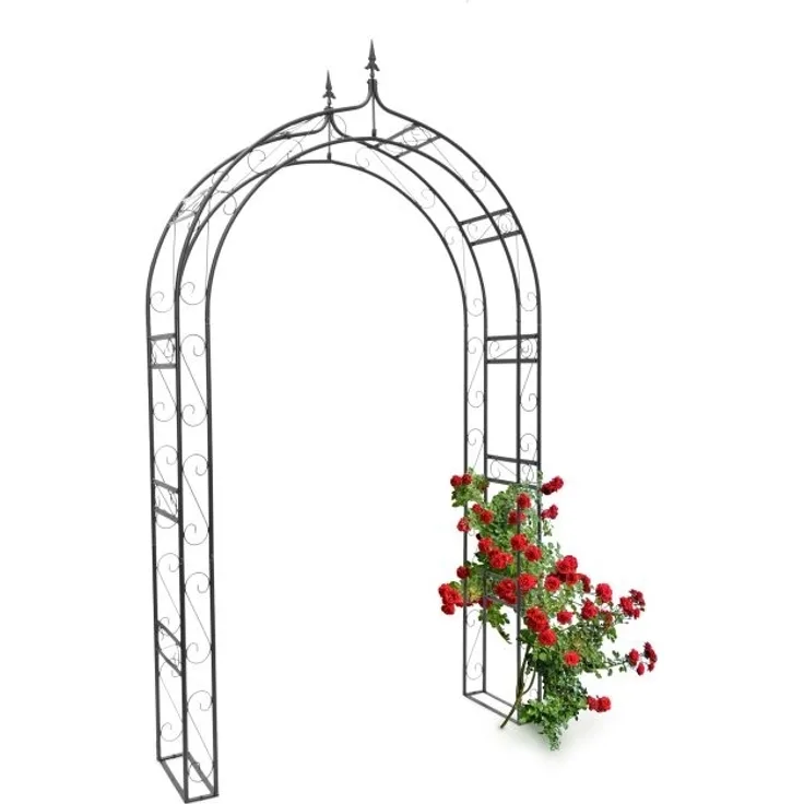 Rosenbogen mit Spitze