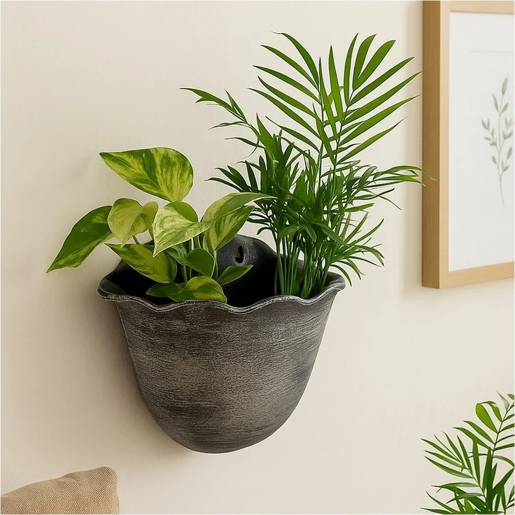 HTI-Living Pflanzschale Pflanzschale Nessa Muschel Wandmontage (Stück, 3 St, 3 Pflanzschalen), Blumentopf hängend Kunststoff – Bild 2