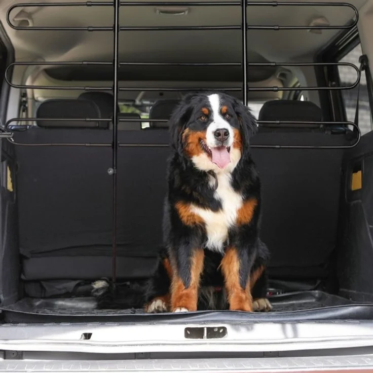 Hundegitter Auto – Bild 2