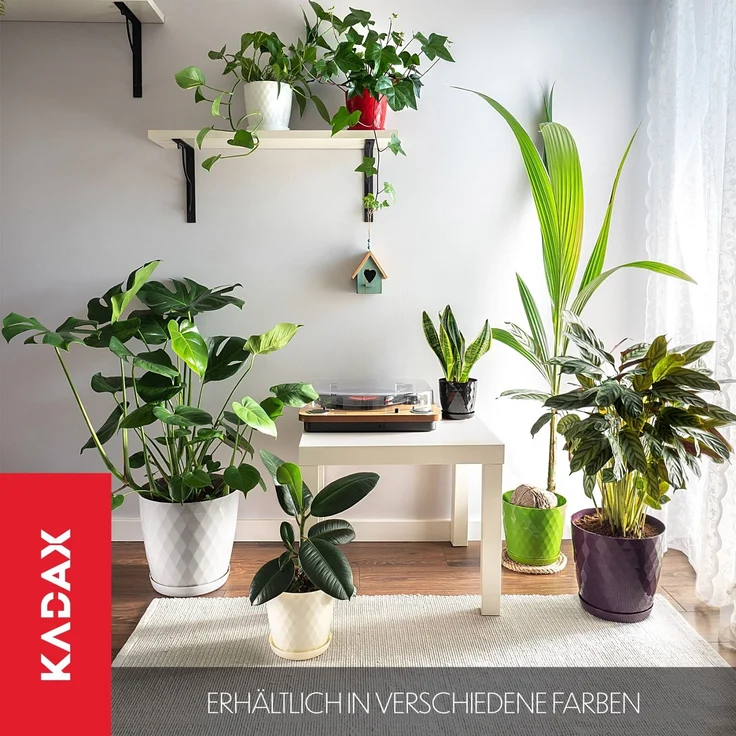 KADAX Kunststoff-Blumentopf mit Ständer, Blumenabdeckung, 20 cm, Creme – Bild 4