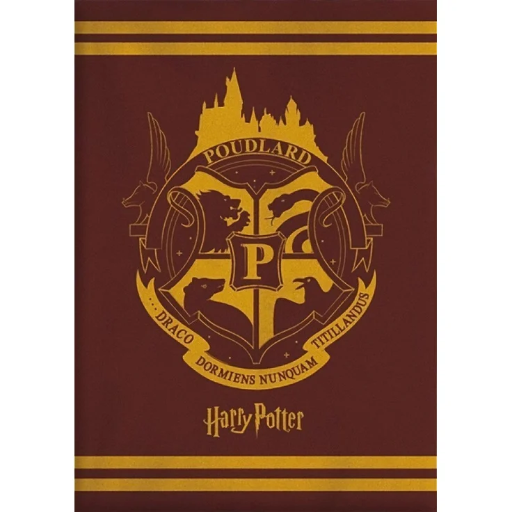 Harry Potter Decke – Wohndecke 130x160 cm für Kinderzimmer und mehr – Bild 3