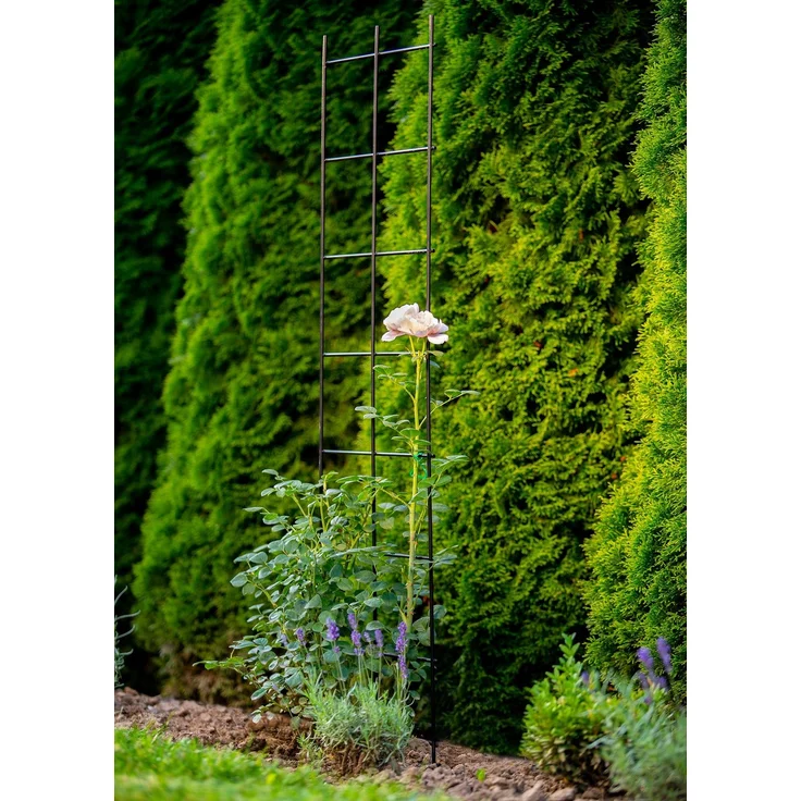 KADAX Garten-Pergola-Spalier für Kletterpflanzen 35x120 – Bild 5
