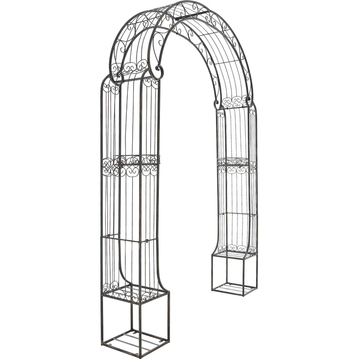 CLP Rosenbogen Alessia,bronze