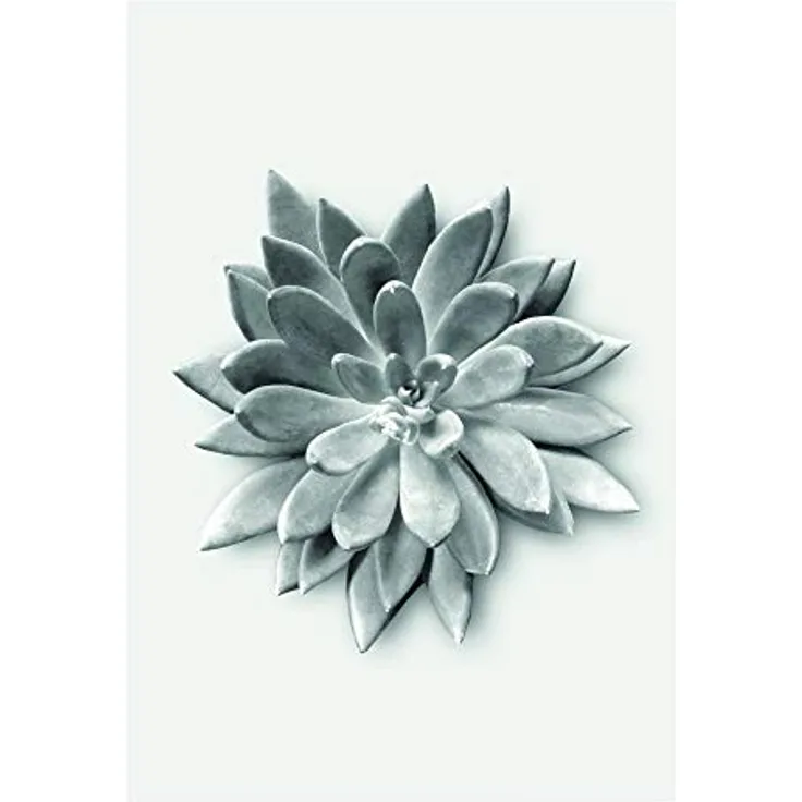 Komar Wandbild Succulent Agave, Poster 50 x 70 cm, schwarz-weiß-grau, hochwertiger Druck, ohne Rahmen, made in Germany