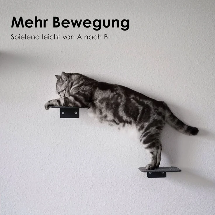 LucyBalu Katzen-Kletterwand Katzentreppe, Katzen Kletterwand, Katzenleiter, Katzenstufen, 3er Set, Pulverbeschichtetes Stahlblech mit Filzauflagen – Bild 2