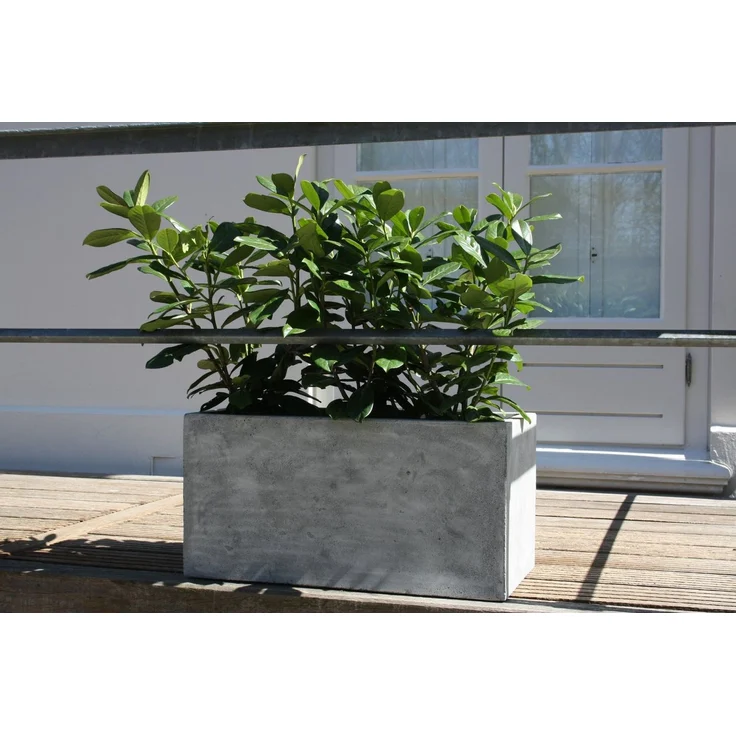 VIVANNO Pflanzkübel Pflanzkübel Pflanztrog Fiberglas Graphitgrau MAXI – Bild 1