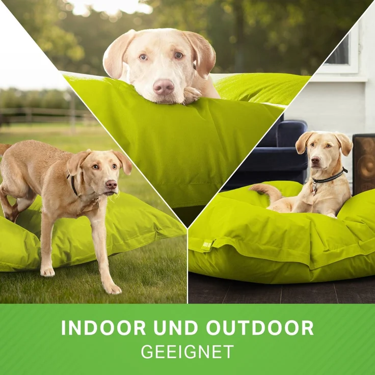 Green Bean® Hundebett für mittlere & große Hunde 140x180cm Hundekissen - Hellgrün – Bild 3