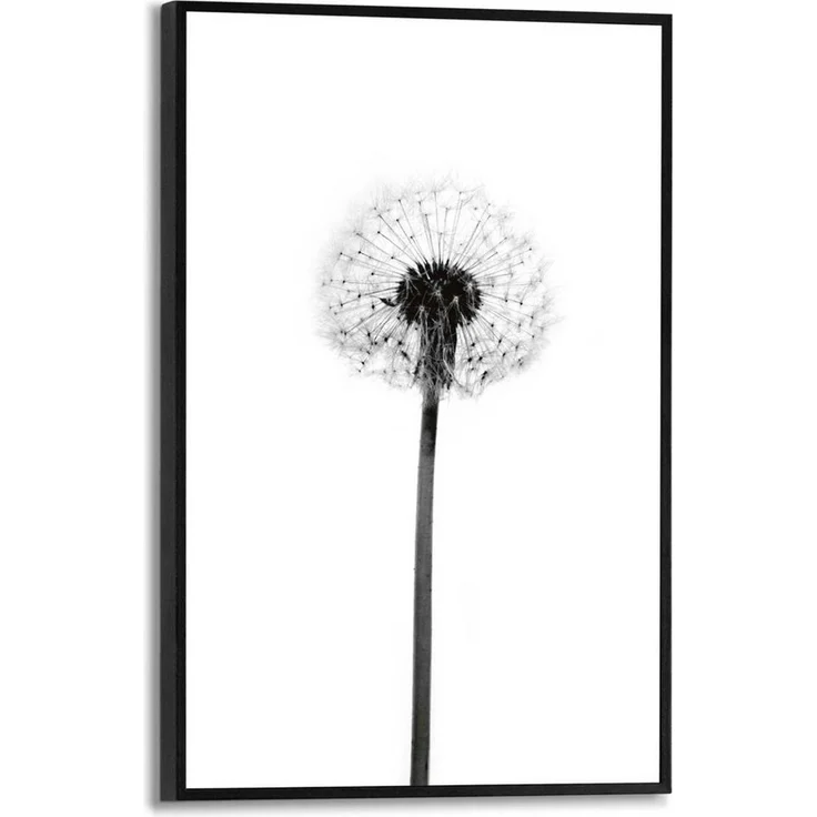 Reinders! Poster Pusteblume – Bild 1