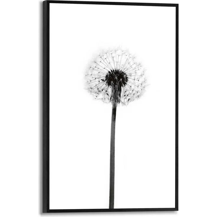 Reinders! Poster Pusteblume