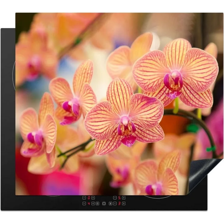 MuchoWow Herd-Abdeckplatte Pflanze - Orchidee - Blumen - Rosa - Flora, Vinyl, (1 tlg), Ceranfeldabdeckung Küche, Herdabdeckplatte Einteilig, 59x51 cm