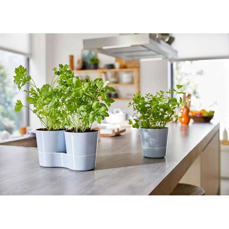 Mepal HYDRO HERBS Kräutertopf ø 13,5 cm Nordic Green - A – Bild 7