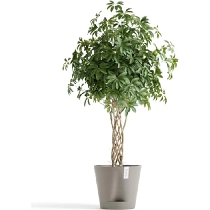 ECOPOTS Blumentopf Venice 2 40 Taupe, für den Innenbereich – Bild 4