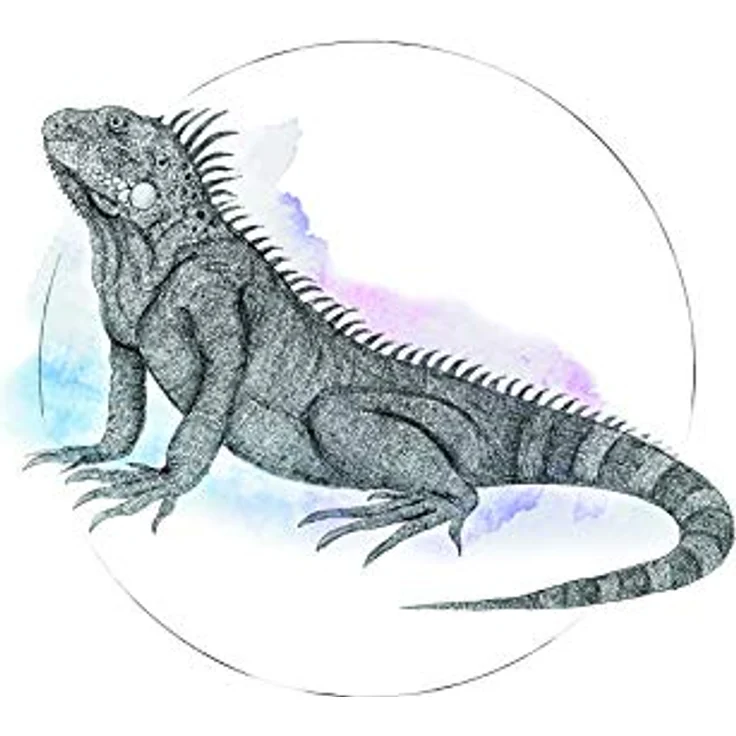 Komar Wandbild | Iguana Watercolor | Premium Poster 50 x 70 cm, fotorealistischer Kunstdruck ohne Rahmen, lichtbeständig – Bild 1