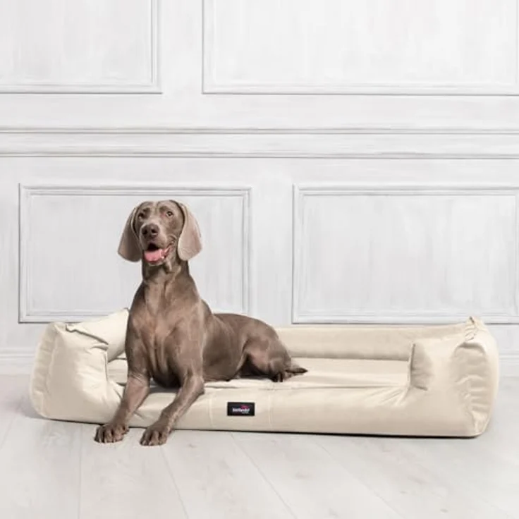 GOOFY Orthopädisches Hundebett - 05 Creme, 110x90cm – Bild 3