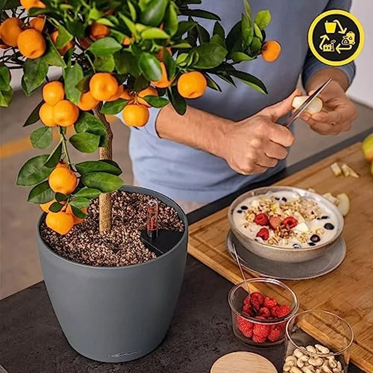 Lechuza Pflanztopf Classico Eco 28 cm Kunststoff hellgrau – Bild 6
