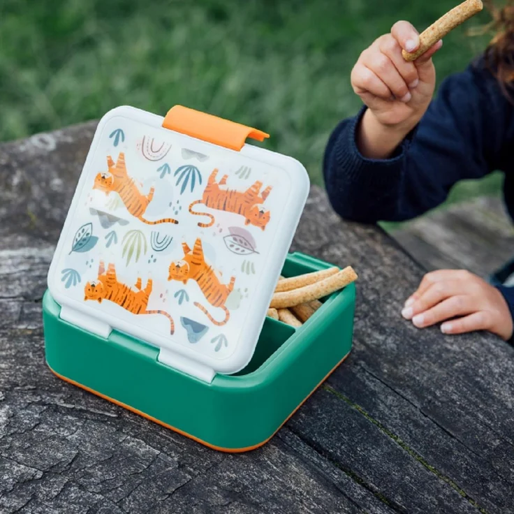 Quokka Tigers Brotdose Doppelwand Kinder Lunchbox 3-Fächer – Bild 2