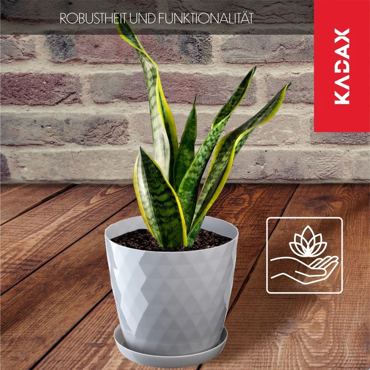 KADAX Kunststoff-Blumentopf mit Ständer, Blumentopf-Abdeckung für Blumen, 16 cm, Grau – Bild 3