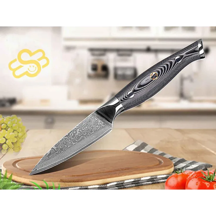 Schälmesser Damststahl, das Koch- und Küchenmesser Obstmesser Gemüsemesser V10