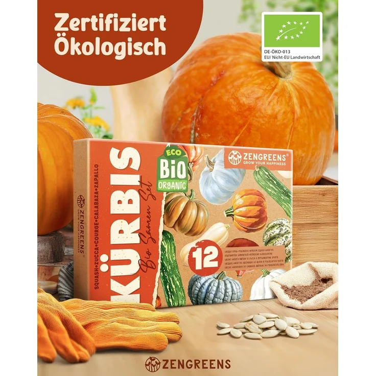 ZenGreens® - Bio Kürbissamen im 12er Set - 12 Kürbis Samen für den einfachen Anbau im Garten, Balkon oder Hochbeet - Pflanzensamen - Saatgut – Bild 2