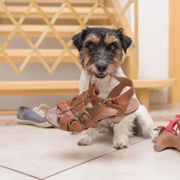 Ausziehbares Hundeabsperrgitter in Natur – Bild 5